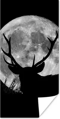 Produktbild von MuchoWow® Poster Hirsch - Mond - Nacht 20x40 cm - Plakat - Foto