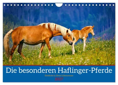 Produktbild von Die besonderen Haflinger-Pferde (Wandkalender 2027 DIN A4 quer), CALVENDO Monatskalender