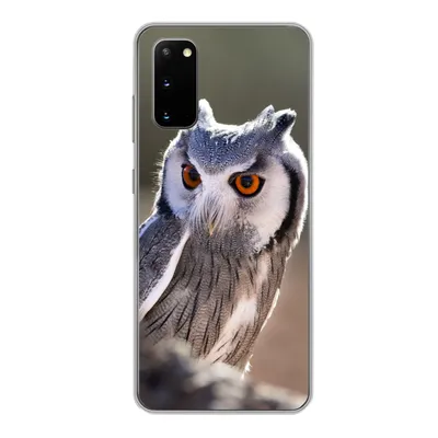 Produktbild von MuchoWow® Handyhülle Schutzhülle Hülle für Samsung Galaxy S20 Eule - Makro - Tier Silikon Softcase Handy Hülle - Bild