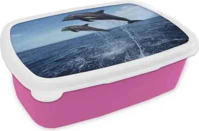 Produktbild von KitchenYeah® Lunchbox Brotzeit Brotdose 17x11 cm Delfin - Meer - Tier Kinder Brotzeitdose - Lunchpaket - Brotkasten  - Sandwich Box