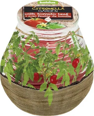 Image de Bougie bolsius Teracce Citronella, repulsive, 94/91 mm, tomate