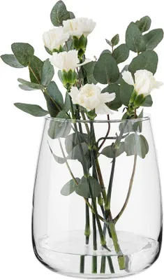Produktbild von Unyqoos® Glasvase Zinnia – bauchige klare Vase H 22,7 cm | Ø 19 cm | Volumen 5090 ml | breite Öffnung für Pampasgras, Tulpen & Rosen | spülmaschinenfest, bleifrei, Europa