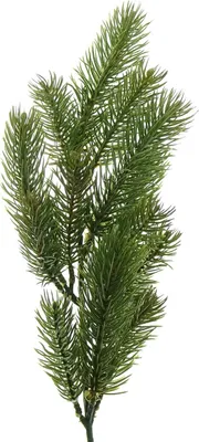 Produktbild von Weihnachtsdeko Tannenzweig Grün 50 cm - Kunststoff