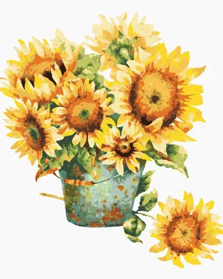 Produktbild von Zuty - Malen nach Zahlen - EIMER MIT SONNENBLUMEN, 40x50 cm, mit Keilrahmen (bereits gespannt)