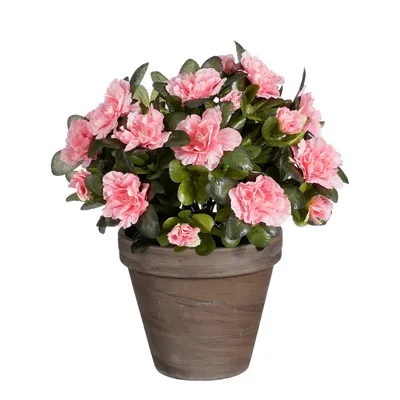 Image de Mica Decorations Azalée plante artificielle dans pot de fleur Stan - H31 x Ø26 cm - Pêche
