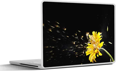 Produktbild von MuchoWow® Laptop Aufkleber Sticker Cover Eine orangefarbene Gerbera-Blüte auf schwarzem Hintergrund abgebildet 30x22 cm - Laptop-Sticker