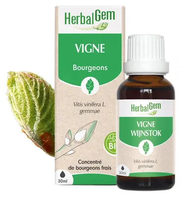 Obrázok produktu pre Herbalgem – Výhonky viniča –– 30 ml