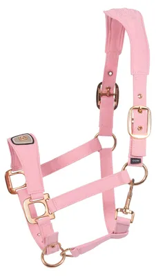 Produktbild von Cavallo Cavalpawel Halfter, Farbe:powder pink, Größe:XWB