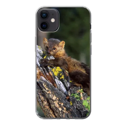 Produktbild von MuchoWow® Handyhülle Schutzhülle Hülle für iPhone 12 mini Marder - Baum - Wald Silikon Softcase Handy Hülle - Bild