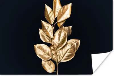 Produktbild von MuchoWow® Poster Pflanze - Blätter - Gold - Schwarz - Luxus 180x120 cm - Fotoplakat