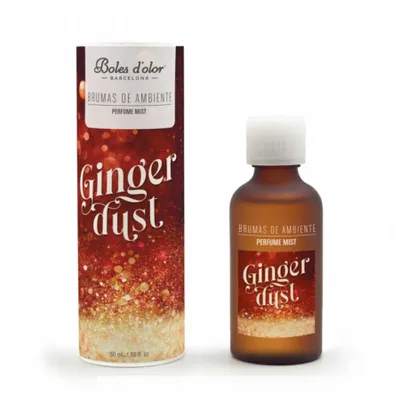 Produktbild von Parfümöl 50ml Ingwerstaub - Boles  d  olor