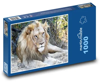 Obrázok produktu pre Puzzle 1000 Lev - kráľ zvierat, safari - martinpuzzle