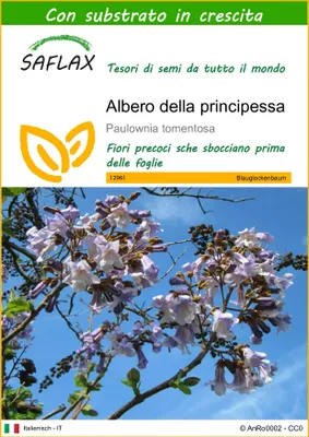Immagine prodotto di SAFLAX  - Albero della principessa - 200 semi - Con substrato - Paulownia