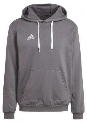 Produktbild von adidas Entrada 22 Sweat Hoodie XL TEGRFO