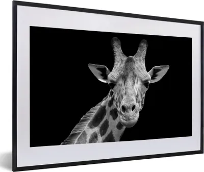 Produktbild von MuchoWow® Gerahmtes Poster Giraffe - Wildtiere - Schwarz-Weiß - Porträt 60x40 cm - Poster mit Schwarzem Bilderrahmen Wandposter Rahmen Foto Bilder - Schlafzimmer - Plakat in Rahmen - Drucken