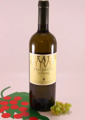 Immagine prodotto di Riesling Praepositus - 2021 - Cantina del monastero di Neustift