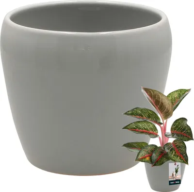Produktbild von KOTARBAU® Blumentopf ⌀ 12 cm Grauer Blumentopf aus glasiertem Keramik Dekorative Übertopf für Blumen und Kräuter Blumentopf für den Balkon