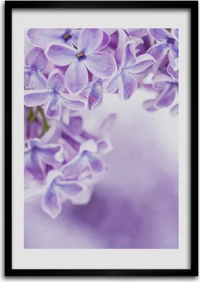 Produktbild von Bild - Bilderrahmen - Foto - 70 cm x 100 cm - MDF - Rahmen - Wandkunst - Lila Blumen