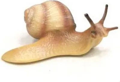 Image de A - Figurine Escargot rayé 9 cm