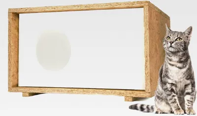 Produktbild von Wetterfestes Katzenhaus aus Styropor – 43x41 cm isoliertes Schutzhäuschen