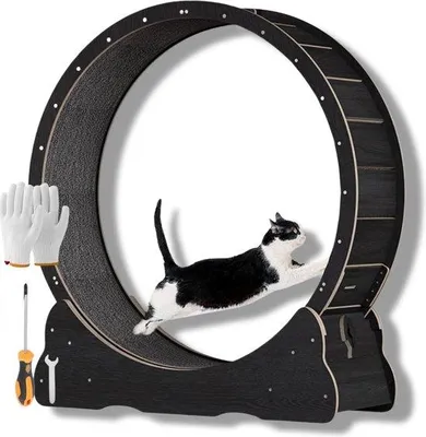Produktbild von Famanu Katzenlaufrad - Robustes Design, geräuschlos und sicher - Schwarz