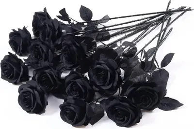 Produktbild von 12 künstliche Rosen – alle schwarz