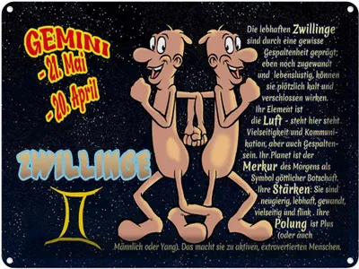 Produktbild von vianmo Blechschild 30x40 cm Sternzeichen Zwillinge Planet Merkur Astrologie