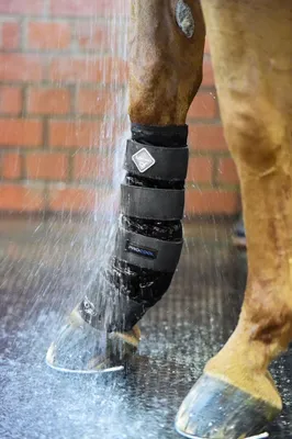 Obrázok produktu pre LeMieux ProCool Cold Water Boots black cooling gaiter , veľkosť:Large
