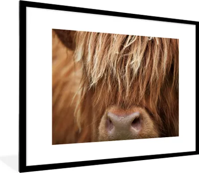 Produktbild von MuchoWow® Gerahmtes Poster Schottischer Highlander - Nase - Haare 80x60 cm - Poster mit Schwarzem Bilderrahmen Wandposter Rahmen Foto Bilder - Schlafzimmer-Dekorationen - Fotoposter
