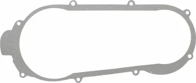Immagine prodotto di Guarnizione coperchio variatore 101 OCTANE GY16362