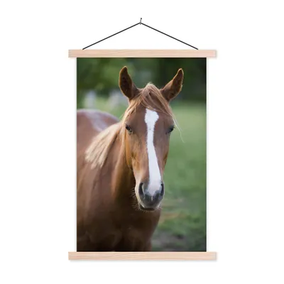 Produktbild von MuchoWow® Textilposter Pferd - Natur - Porträt 60x90 cm mit holzfarbenen Rahmen - Textil