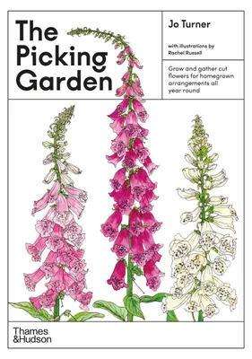 Zdjęcie produktu dla The Picking Garden
