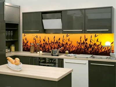 Zdjęcie produktu dla Dimex fototapety do kuchyne, samolepiace KI-260-128 Rákosie 60 x 260 cm