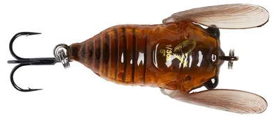 Produktbild von Savage Gear 3D Cicada - Wobbler, Farbe:Brown, Länge / Gewicht:3.3cm / 3.5g
