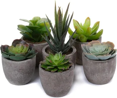 Zdjęcie produktu dla Sztuczne sukulenty w betonowej doniczce 6-pak - Dekoracyjna sztuczna roślina bonsai
