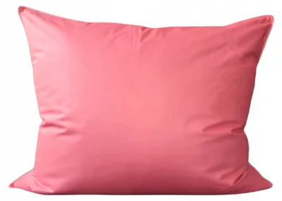 Produktbild von Pierzynki Daune Kissen 50x70 cm 800g Beige