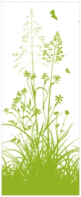 Produktbild von Wallario Premium Glasbild, freischwebende Optik, kräftige Farben, Größe 125 x 50 cm Motiv Grüne Sommerwiese
