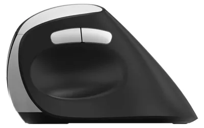 Image de Rapoo EV250 mouse Office Right-hand RF Wireless Optical 1600 DPI