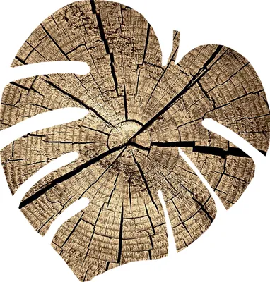 Produktbild von Bertoni Monstera Filzunterlage M 33x33 cm 4 mm dick - Eiche