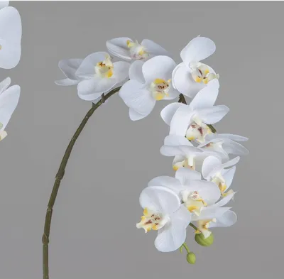 Produktbild von künstliche Deko Orchidee Real Touch L. 56cm weiß Formano Kunstblumen WA