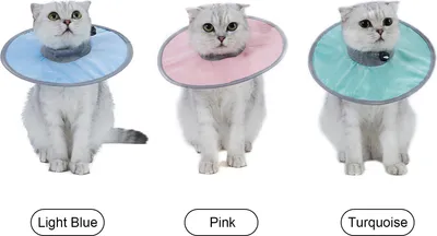 Produktbild von Kegelhalsband für Katzen, stoppt das Lecken, verstellbare Rippung, Halswiederherstellung