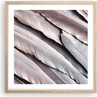 Produktbild von Gerahmtes Poster - Rahmen in heller Eiche - Federn Flügel Feder - 50x50 cm - Wand Bild - Wanddeko - Wandbilder - Kunstposter - Wandposter - Bilderrahmen - Bilder - Kunstdruck - P2NAC50x50-5114