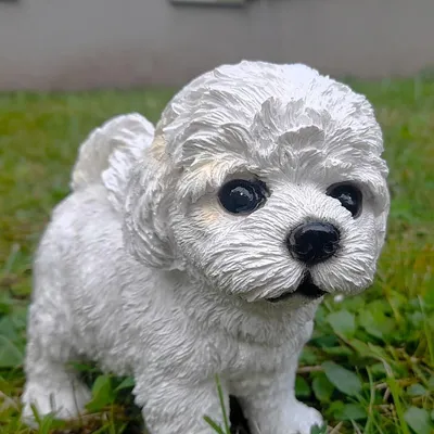 Image de Prodex Chien bichon, 17 x 16 cm, polystone, PRODEX WG16313