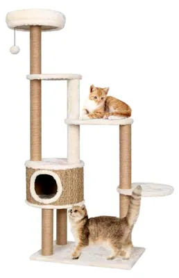 Produktbild von Katzenkratzbaum mit Kissen 148 cm aus Seegras