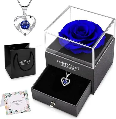 Produktbild von Famanu Konservierte Rose Handgemacht mit Spliter Halskette - Ewige Rose in Geschenkbox - Infinity Rosen für Valentinstag, Muttertag, Jubiläum,