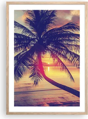 Produktbild von Gerahmtes Poster - Rahmen in heller Eiche - Meer Strand Palme - 50x70 cm - Wand Bild - Wanddeko - Wandbilder - Wandposter - Bilderrahmen - Bilder - Kunstdruck - Wandbild - P2NPA50x70-3925