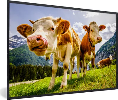 Produktbild von MuchoWow® Gerahmtes Poster Kühe - Berge - Gras - Landschaft - Alpen 90x60 cm - Poster mit Schwarzem Bilderrahmen Wandposter Rahmen Foto Bilder - Fotorahmen - Foto-Plakat