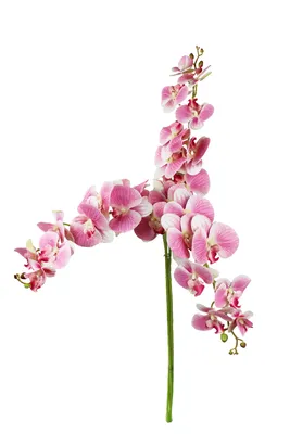 Obrázok produktu pre Umelá orchidea ružová sada 3 umelých rastlín
