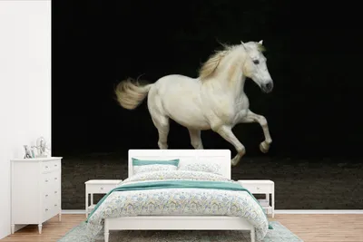 Produktbild von MuchoWow® Fototapete für Wohnzimmer oder Schlafzimmer Wandtapete Vinyl Motivtapete Pferd - Sand - Weiß - 450x300 cm - Gemusterte