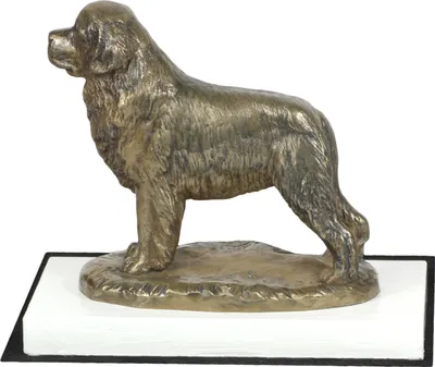 Produktbild von Neufundländer, Newfoundland - Hundestatue, Figur auf weißem Sockel, Trophäe für die Art-Dog-Hundeaustellung.
